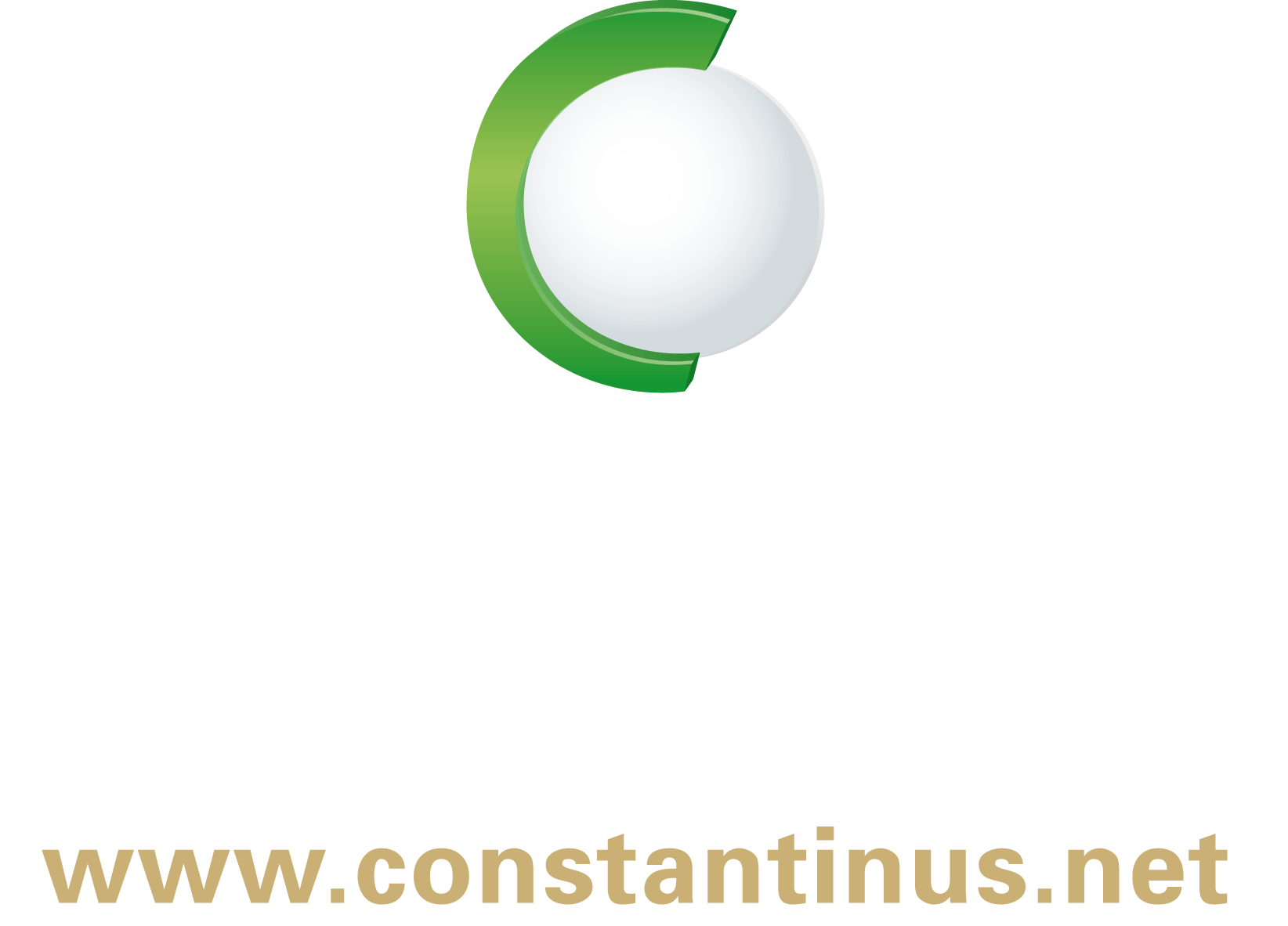 Constantinus - &Ouml;sterreichs Beratungs- und IT-Preis